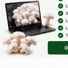 Online mushroom farming training